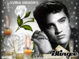 IN LOVING MEMORY OF ELVIS IN LOVING MEMORY OF ELVIS