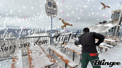 Auf der Zugspitze Picture 115571296