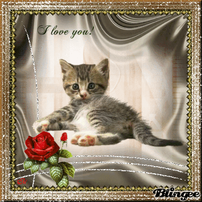 I love you!! I love you!!