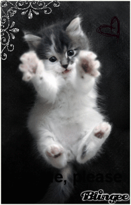 Kitty Hugs Gif Kitty Hugs Gif Kitty Hug Gif Love
