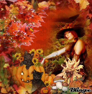 Https Encrypted Tbn0 Gstatic Com Images Q Tbn And9gcqtuqg Yvwsor9sy4sai8akjuia 6efotwe0w Usqp Cau