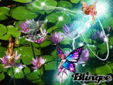 Fairypond