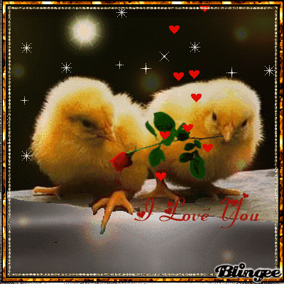 Immagine Due Pulcini Innamorati 116826655 Blingee Com