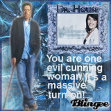 dr.house~challenge mm