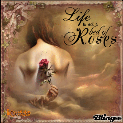 Essay about,life is not a bed of roses