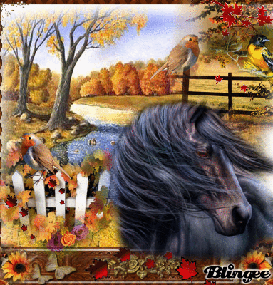 ~~♣♣ photos et images d'arts concours original de la derniére semaine de septembre ♣♣ ~~