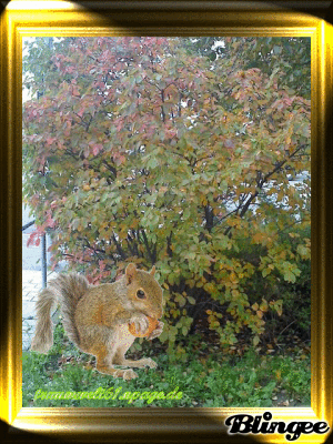 Herbstbild 2