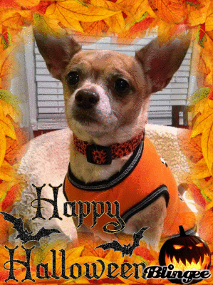 Happy Halloween Happy Halloween