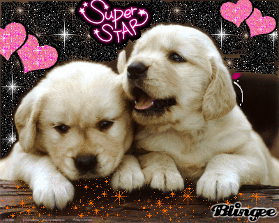 pretty puppies pretty puppies picture 117385532 blingee pretty puppies pretty puppies picture 117385532 blingee