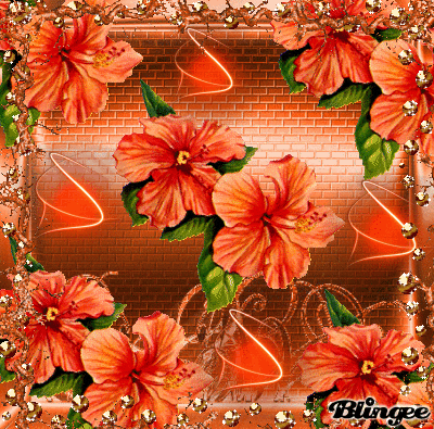 Https Encrypted Tbn0 Gstatic Com Images Q Tbn And9gcqrc27om2mpfupc2nwd5tx0zzruem9e13tb1q Usqp Cau