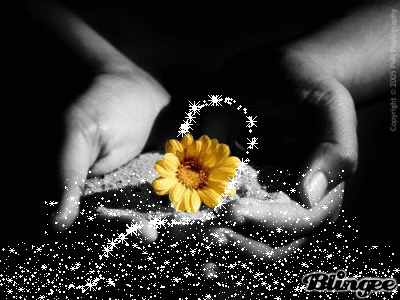 semeando amor semeando amor