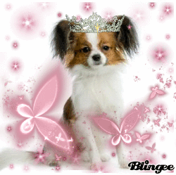 Https Encrypted Tbn0 Gstatic Com Images Q Tbn 3aand9gcq Cujqsjia8batrsv8ax4zdy4lceah6yy1la Usqp Cau
