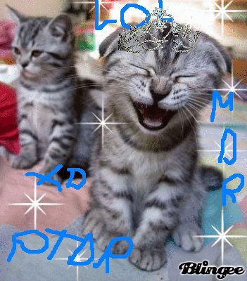 Chat Qui Rigole