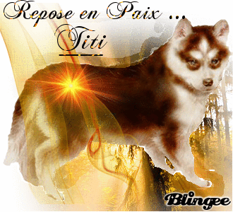 titi titi