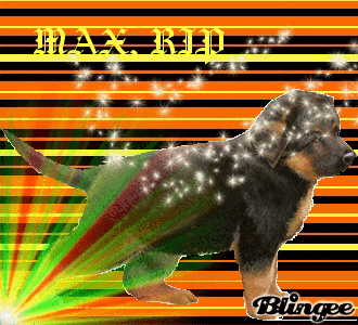 max max