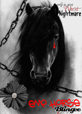 Emo Horse Girl Emo Horse Girl