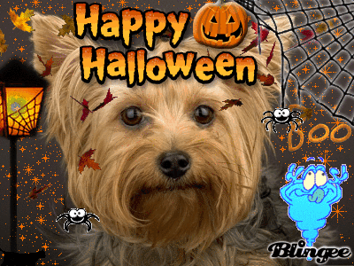 happy halloween