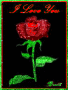i love you