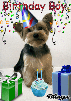 Happy 2nd Birthday Animated Picture Codes And Downloads 118181318 668142396 Blingee Com The perfect dance happy birthday animated gif for your conversation. blingee com