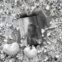 ♥Eugenia_