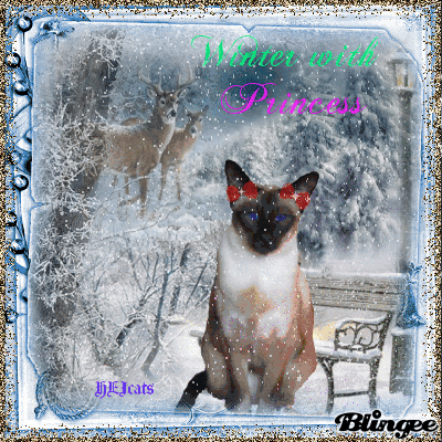 Winter with Princess Winter with Princess