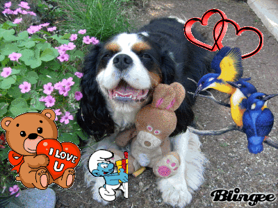 JOYEUX ANNIVERSAIRE MON KIKI