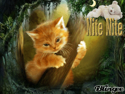 NITE, NITE Picture #118667019 | Blingee.com