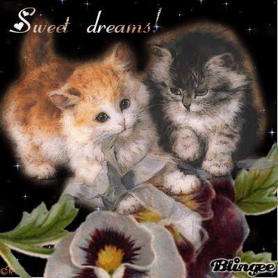 sweet dreams my friends sweet dreams my friends