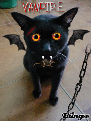Vampire Cat Picture #118731217 | Blingee.com