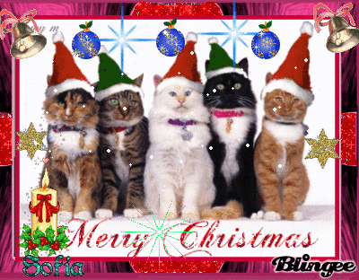 Https Encrypted Tbn0 Gstatic Com Images Q Tbn 3aand9gcsigfckgnvcw2leetag7pghw8ihx Rrgtdjja Usqp Cau