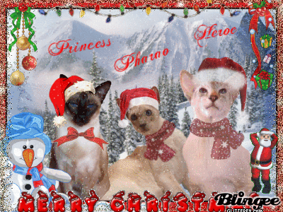 Merry Christmas Merry Christmas