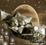 BONNE SOIREE ... GOOD EVENING ...