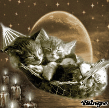 BONNE SOIREE ... GOOD EVENING ... BONNE SOIREE ... GOOD EVENING ...