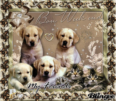 Wonderful week end my friends of blingee ♥   p