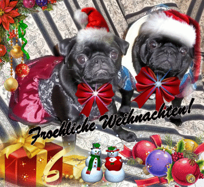 Weihnachtsmopsis Weihnachtsmopsis
