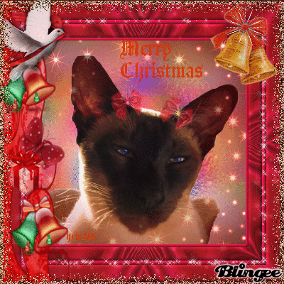 Merry Christmas wishes Pincess Merry Christmas wishes Pincess