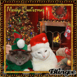 ♥ Merry Christmas ♥