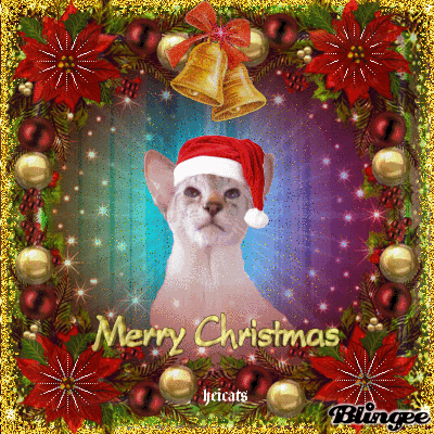 Heroe wishes everyone a Merry Christmas Heroe wishes everyone a Merry Christmas