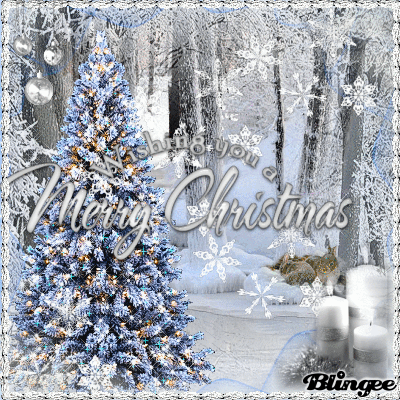 Wishing you a Merry Christmas