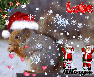 See the source image