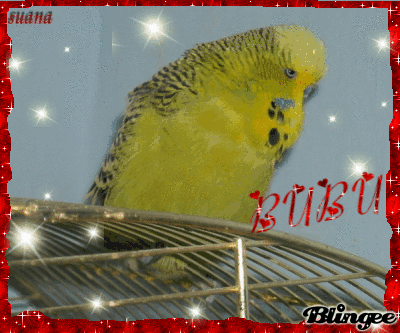 http://image.blingee.com/images18/content/output/000/000/000/71e/679818390_394329.gif