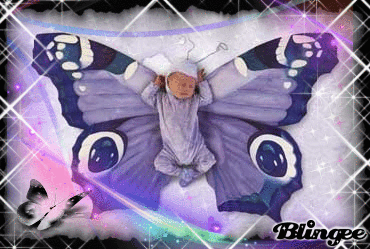 butterflybaby