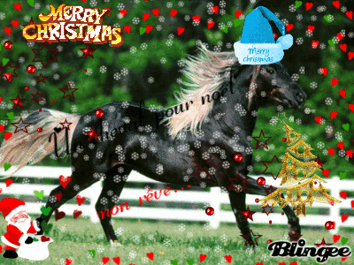 Résultats de recherche d'images pour « images de cheval de  noel »