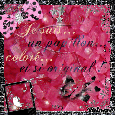 Papillon...