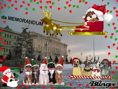 Buone feste agli amici