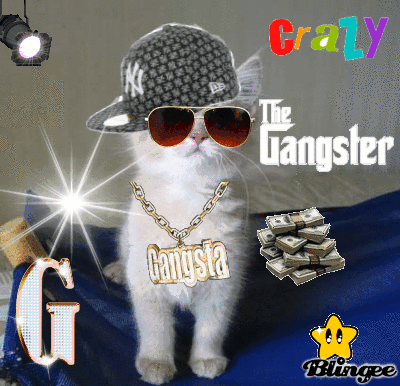 cat gangster