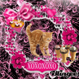 Kitties *XO-XO-XO*