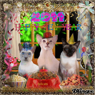 "Happy New Year" wish all cat friends Princess, Hero and Pharao "Happy New Year" wish all cat friends Princess, Hero and Pharao