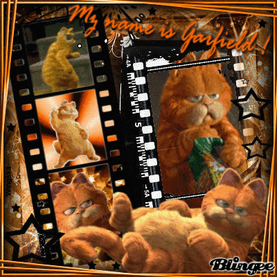 My name is GARFIELD !