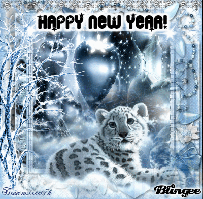 * Happy New Year * * Happy New Year *